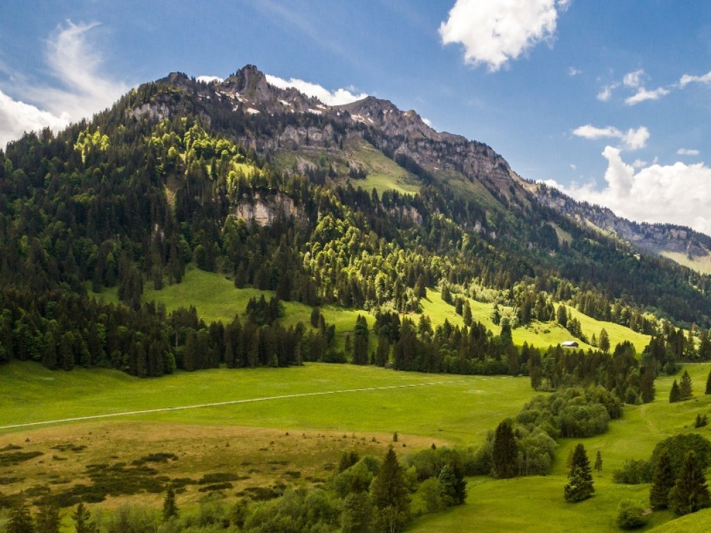 Schönenbach im Bregenzerwald