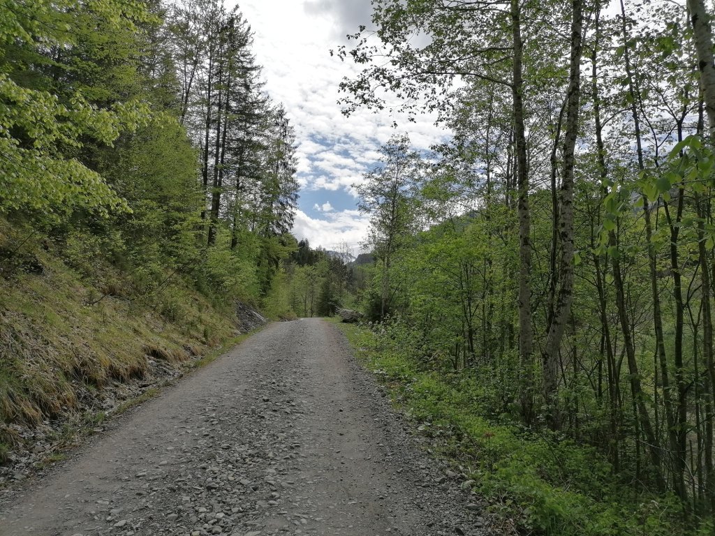 Der Güterweg im Mellental