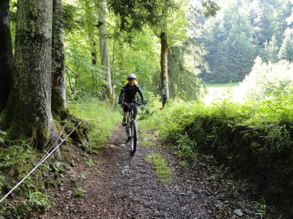 Mountainbiker im Mellental