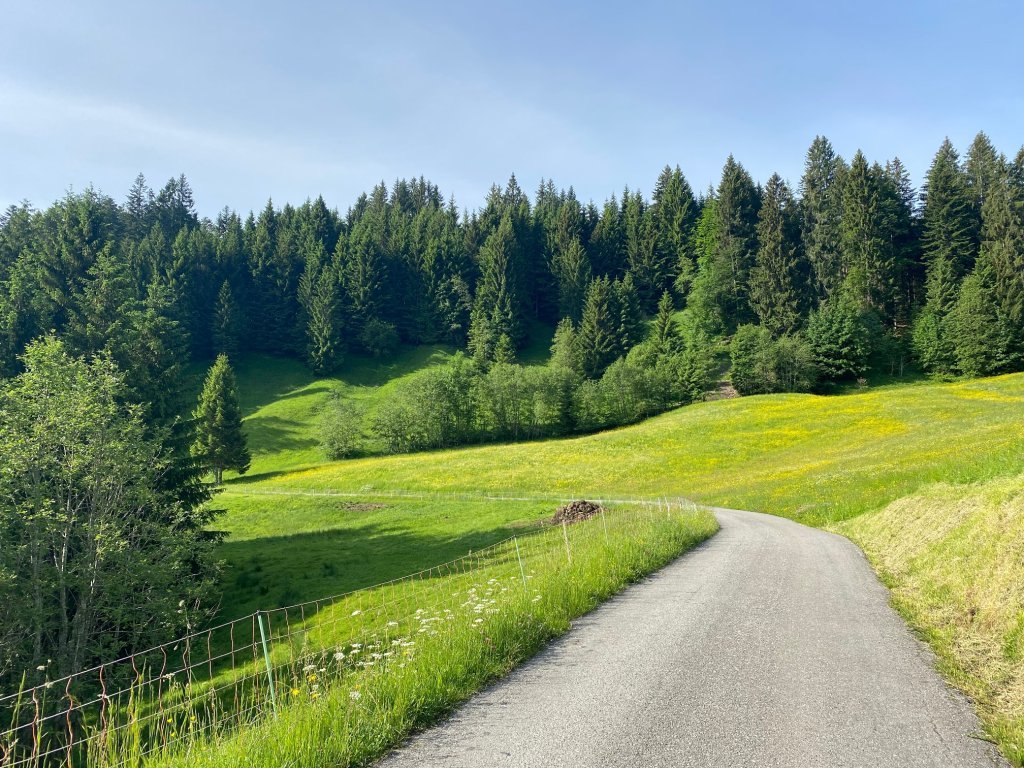 Entlang von Blumenwiesen von Lingenau nach Schetteregg