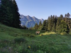 Auf dem Weg zum Hirschberg